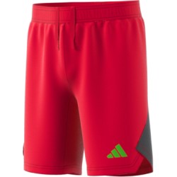 Adidas Tech Red Shorts