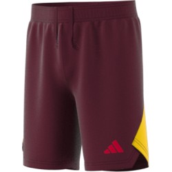 Adidas Tech Garnet shorts