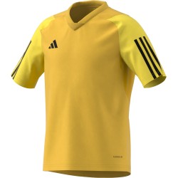 Maglia Adidas Tiro 23 Oro