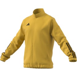 Adidas Tiro 23 Gold Jacket