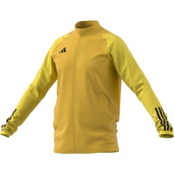 Giacca Adidas Tiro 23 Oro