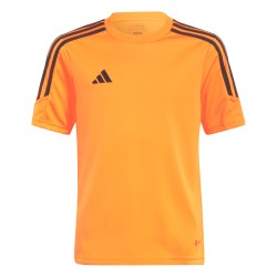 Maglia Adidas Tiro 23...