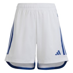 Adidas Tiro 23 White Shorts