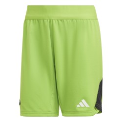 Adidas Tech shorts