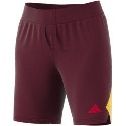 Adidas Tech shorts