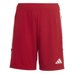 Adidas Tiro 23 shorts