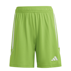 Adidas Tiro 23 shorts