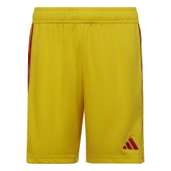 Adidas Tiro 23 Shorts Yellow