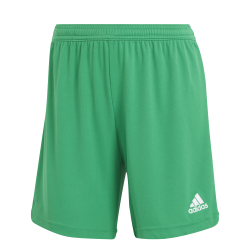 Entrada 22 Shorts Green