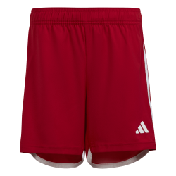 Adidas Tiro 23 shorts