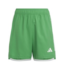 Adidas Tiro 23 Green Shorts