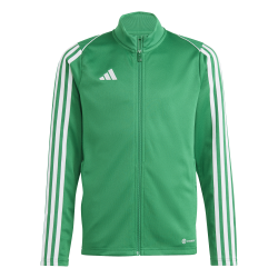 Adidas Tiro 23 Green Jacket