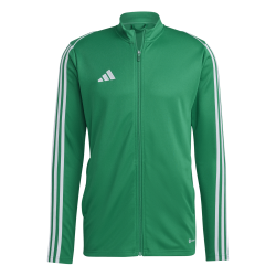 Adidas Tiro 23 Green Jacket