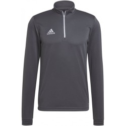 Felpa Adidas Entrada 22