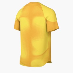 2 - Maglia Da Portiere  Nike Gardien Iv Giallo