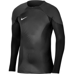 1 - Goalkeeper Shirt Nike Gardien Iv Grey