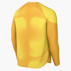 2 - Maglia Portiere Nike Gardien Iv Giallo