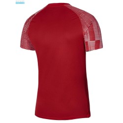 2 - Nike Academy Red Jersey