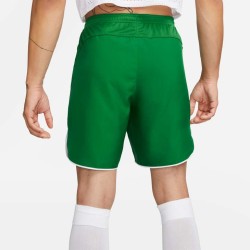 2 - Nike Laser V Green Shorts