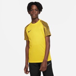 1 - Maglia Nike Academy Giallo