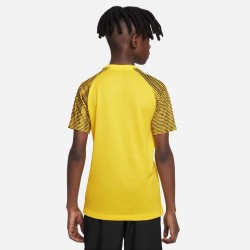 2 - Nike Academy Jersey Yellow