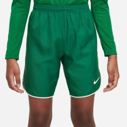 1 - Nike Green shorts