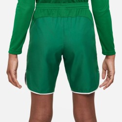 2 - Nike Green shorts