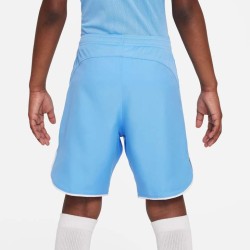 2 - Nike Blue Shorts