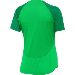 2 - Nike Academy Pro Polo Green