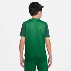 2 - Maglia Nike Trophy V Verde