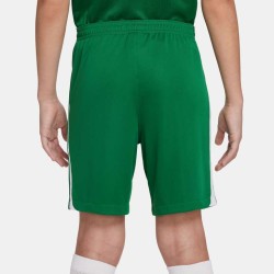 2 - Nike Knit III Green Shorts