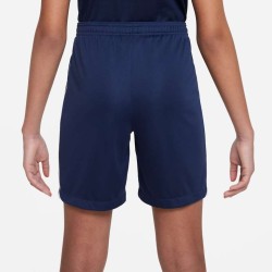 2 - Nike Knit III Blue Shorts