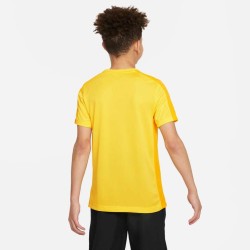 2 - Maglia Nike Academy23 Giallo