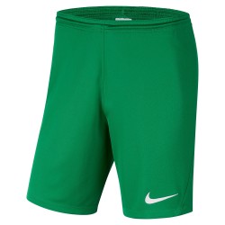 Nike Park III Green Shorts