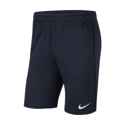 Nike Park 20 Blue Shorts