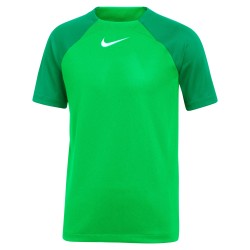 Maglia Nike Academy Pro Verde