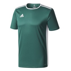 Adidas Entrada 18 Green Jersey