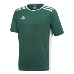 Maglia Adidas Entrada 18 Verde