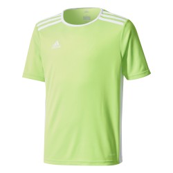 Adidas Entrada 18 Green Jersey