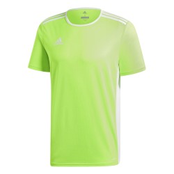 Adidas Entrada 18 Green Jersey