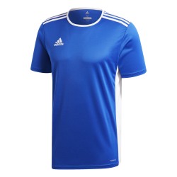 Adidas Entrada 18 Blue Jersey