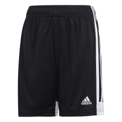 Pantaloncino Adidas Tastigo...