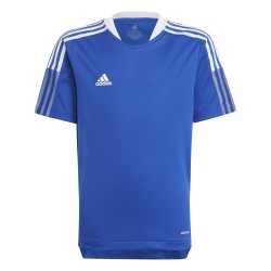 Maglia Adidas Tiro 21 Azzurro