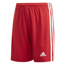 Pantaloncino Adidas Squadra...