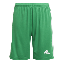 Pantaloncino Adidas Squadra...