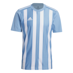 Adidas Striped 21 Blue Jersey