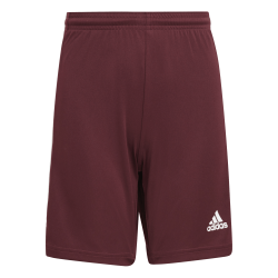 Pantaloncino Adidas Squadra...