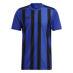 Adidas Striped 21 Light Blue Jersey