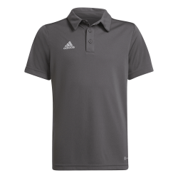 Adidas Entrada 22 polo shirt