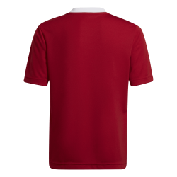 Adidas Entrada 22 Jersey